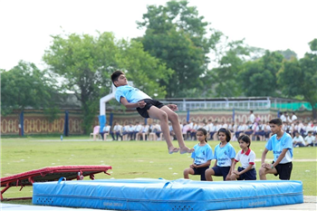 Independence Day Celebration 2026 - Independence Day Celebration 2026